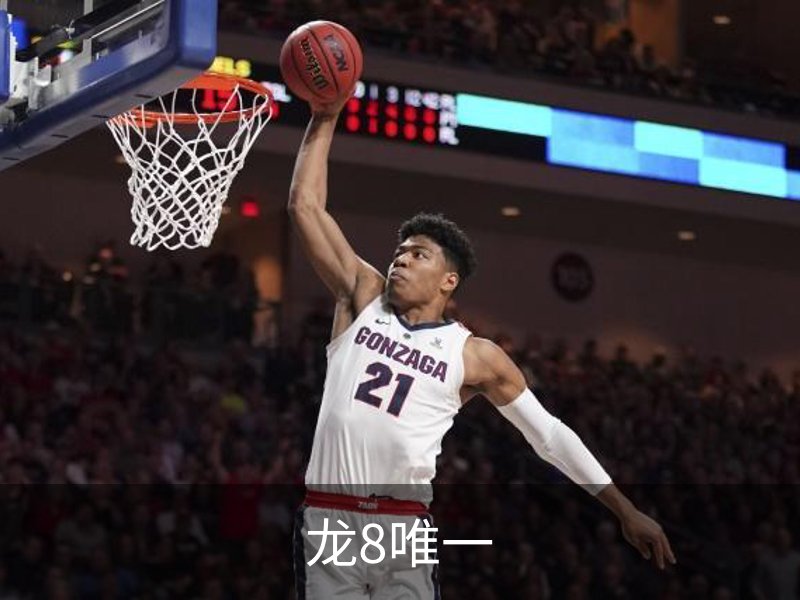 走进龙8唯一
